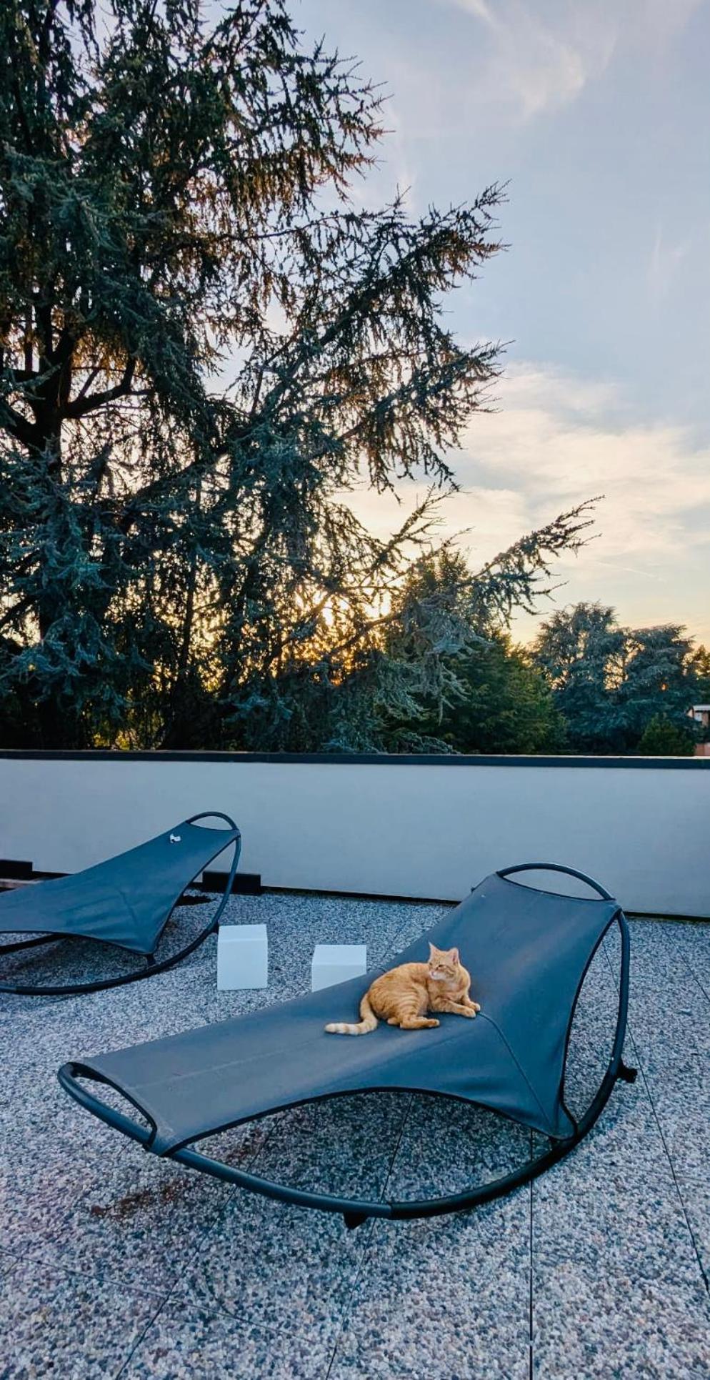 Bed and Breakfast The Luxory Cat Milán Exterior foto